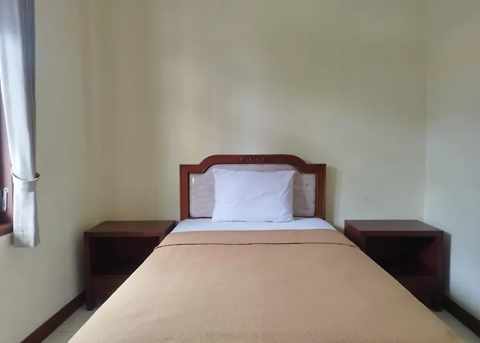 Apartahotel Adi Pelita Sari Bali 3*